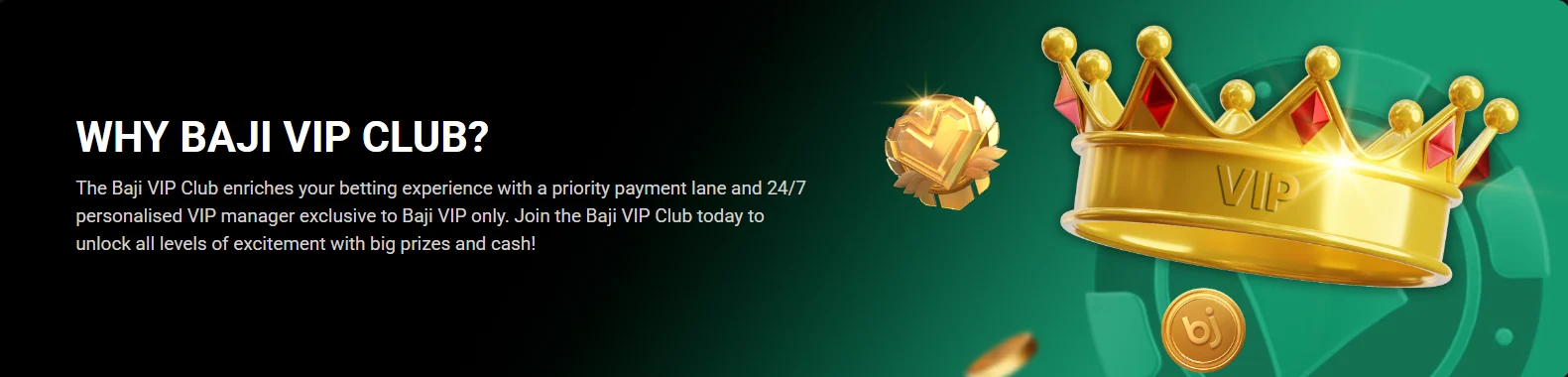 Baji VIP club introduction